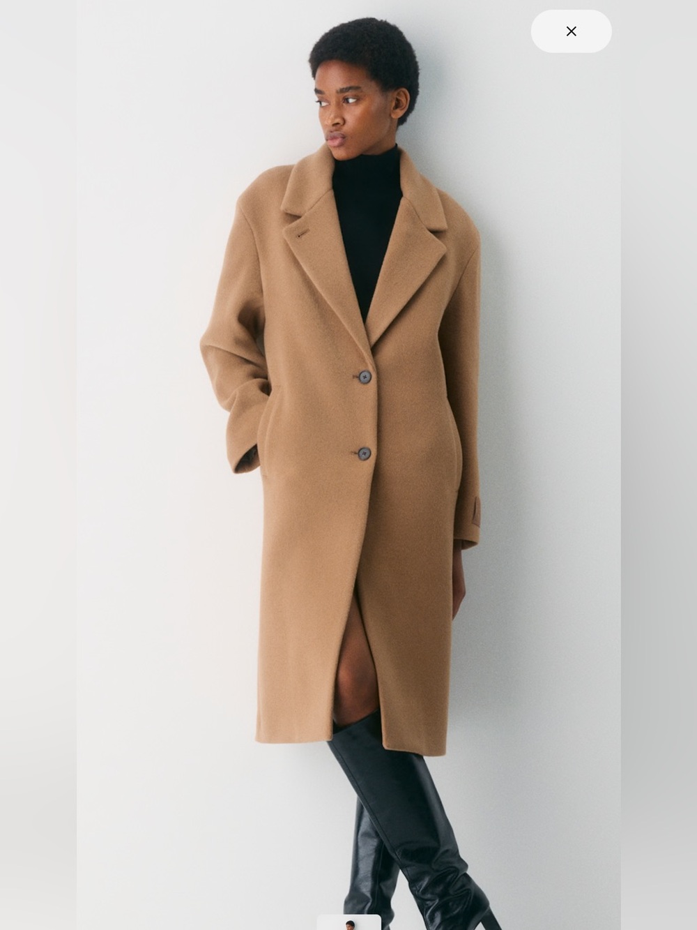 Aritzia Wool Coat